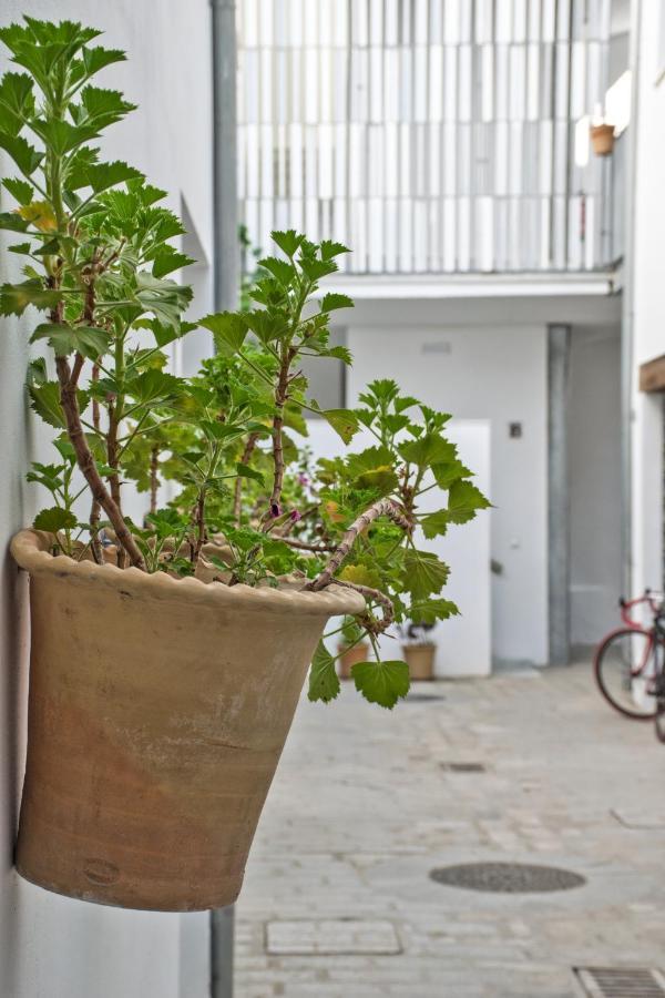 Apartamentos Covadonga 9 - Triana Sevilla Exterior foto